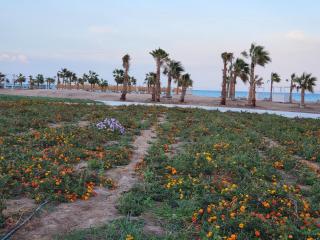 Mangroovy- 1BR Sea Breeze Back Sea view - 5