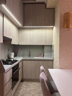 Spacious Modern Studio near Premier Palace hotel - 5