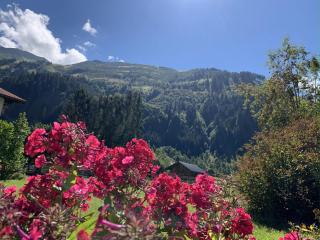 Chalet Villa Hera - 1