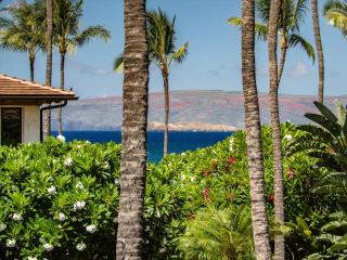 Castaway Cove C201 At Wailea Beach Villas - 8