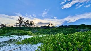 Watamu Beach Cottages B&B - 6