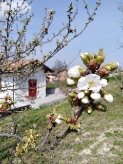 La Cascina dei Banditi - 4