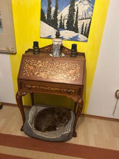 Gemütliche 2 Zimmer Wohnung mit Balkon und Bergblick, Hundefreundlich - 1