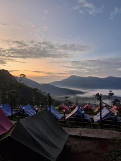 Kolukkumalai Cloud Camp - 8