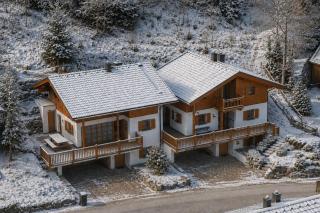 Schöneben Chalet Waldblick - 9