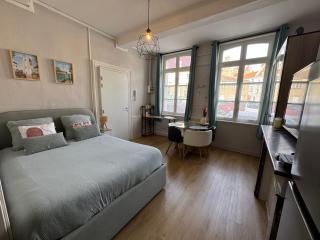 Studio en plein cœur de ville - 8