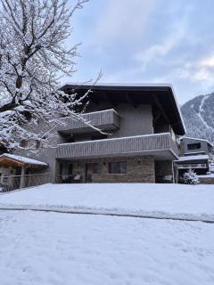 Alpenjuwel Montafon - 9