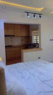 A Self Apartment Near Airport - 4