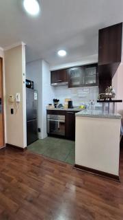 Acogedor departamento a pasos de Bellas Artes y Lastarria - 7