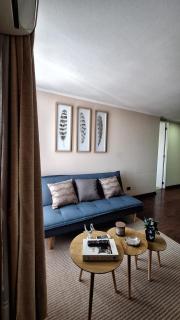 Acogedor departamento a pasos de Bellas Artes y Lastarria - 6