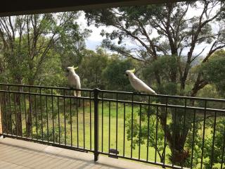 Kookaburra Retreat - Berowra - 8