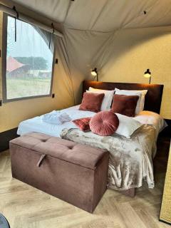 Private luxuary tente - 6