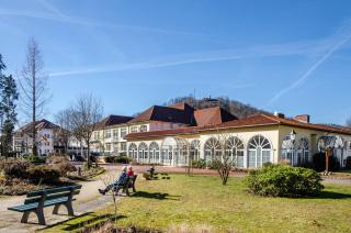 Goldener Harz - 6