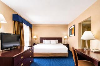 Wyndham Garden Monterrey Norte - 7