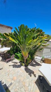 Graciosa Suites - 8