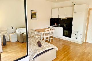 Stylish Apartment near Vienna - 2