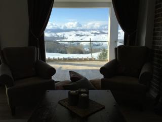 Meşeli Lake House - 2