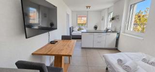 Rothorn Studio - Aare Jungfrau AG - 0