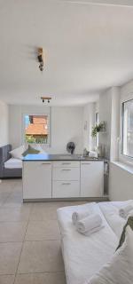 Rothorn Studio - Aare Jungfrau AG - 1