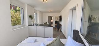 Rothorn Studio - Aare Jungfrau AG - 9