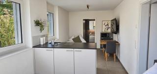 Rothorn Studio - Aare Jungfrau AG - 1
