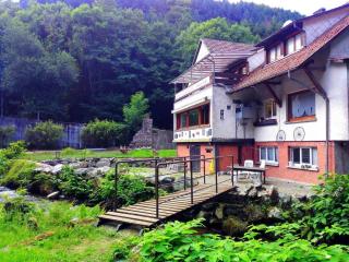 Lilsbach Riverside Mountain House - 7