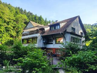 Lilsbach Riverside Mountain House - 2