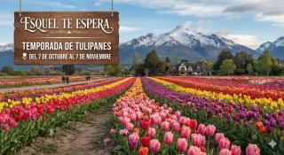 Esquel te Espera - Esquel - 0