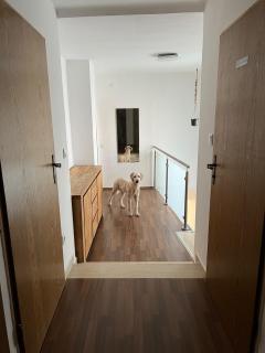 Ferienwohnung Wachau - 3