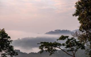 Mukiza Gorilla Lodge - 2
