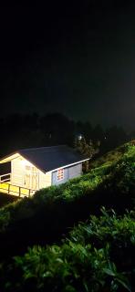 Mukiza Gorilla Lodge - 1
