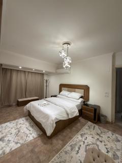 The most beautiful and elegant apartment in Zamalek - 4