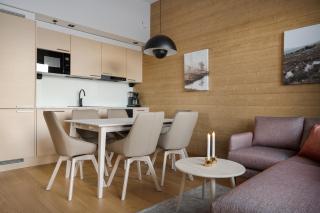 Ski-in Ski-out luxury corner apartment, 2 lift tickets - 8