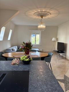 Penthouse Bern - 8