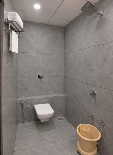 Hotel Ravi Palace - 3