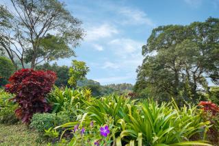 Magnolia Estates & Resorts - 3