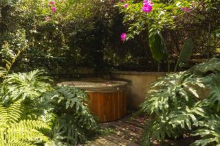 Xolo Condesa - 7