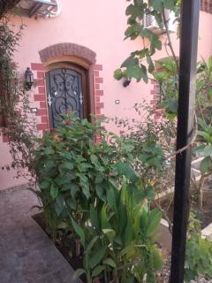 Terrasses et Jardins sur le Nil chez Hagag rive Ouest - Luxor - 6