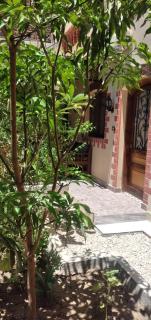 Terrasses et Jardins sur le Nil chez Hagag rive Ouest - Luxor - 4