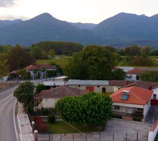 Roots House Pozar - 9