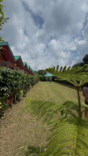 The Kumaoni Stay - 7