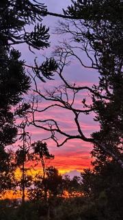 Chácara águas clara Casa no campo - 5
