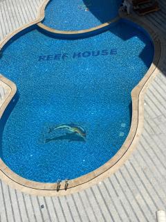 Reef House - 9
