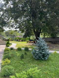 Sioni Resort - 9