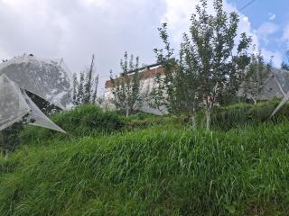 DHAR VALLEY Homestay - 8