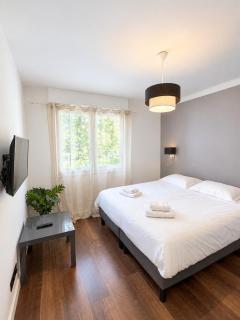 Renovated 2 bedrooms - Boulevard de la Croisette - 3