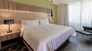 Holiday Inn San Luis Potosi-Quijote by IHG - 2