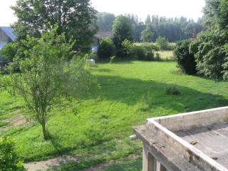 La Coutrotte Becquine - Heuilley-sur-Saône - 8