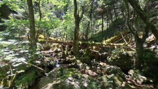 Λ Wood Cabin by the River, for Adventurers - 8