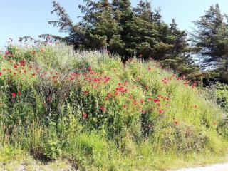 5 star holiday home in Blokhus - 5